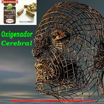 Ginkgo Biloba Cápsulas