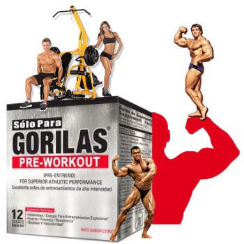 PRE-WORKOUT