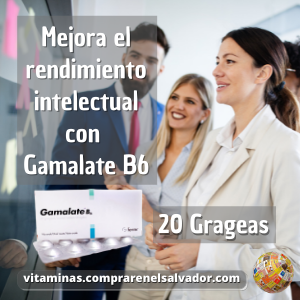 GAMALATE B6 20 Grageas