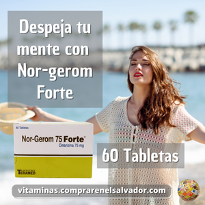 NOR-GEROM FORTE 60 Tabletas