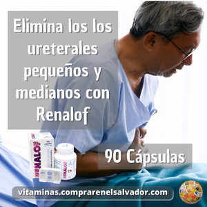 RENALOF 90 Cápsulas
